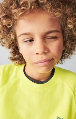 Sweat Enfant Izubird*American Vintage Cheap