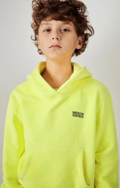 Sweat Enfant Izubird*American Vintage Cheap