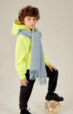 Sweat Enfant Izubird*American Vintage Cheap