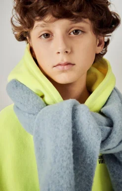 Sweat Enfant Izubird*American Vintage Cheap