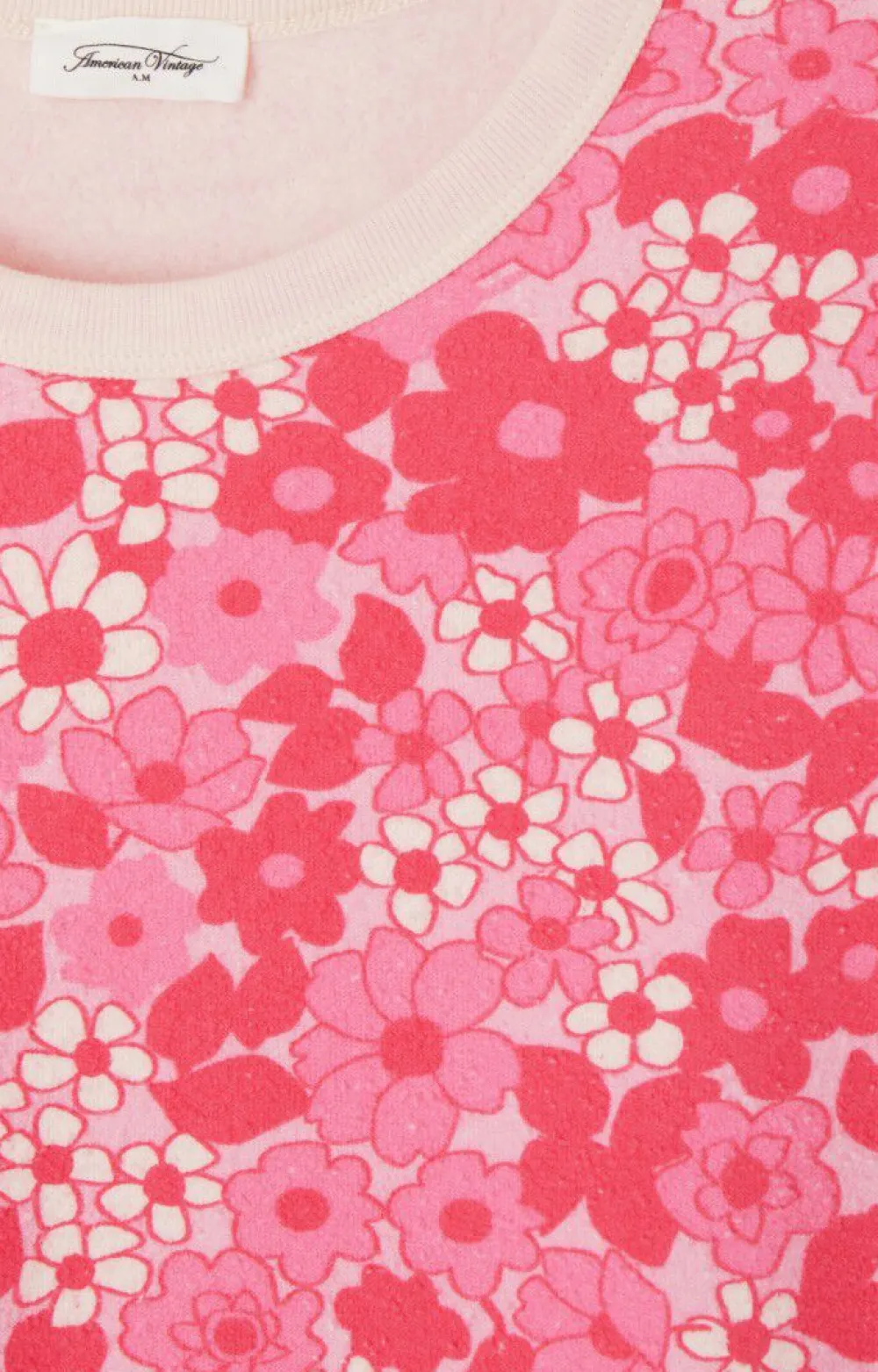 Sweat Femme Bobypark*American Vintage Best