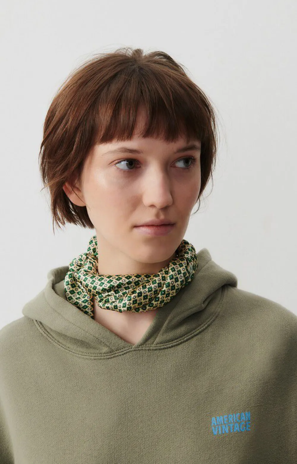 Sweat Femme Izubird*American Vintage New