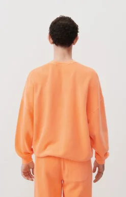 Sweat Homme Izubird*American Vintage Clearance
